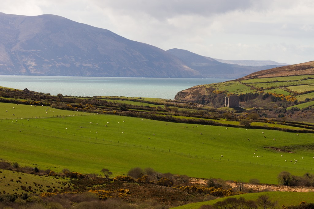 Dingle Peninsula