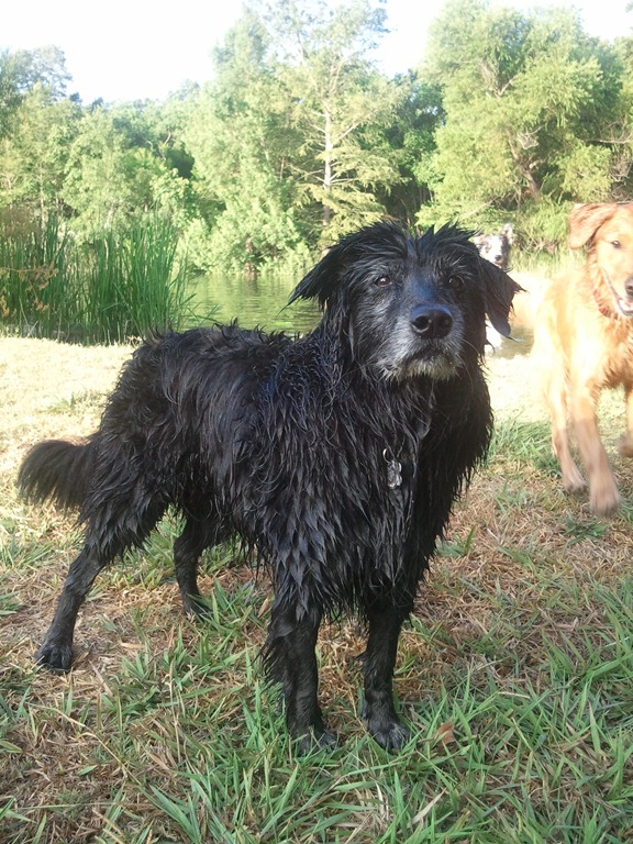 Willa and Ruby Swimming