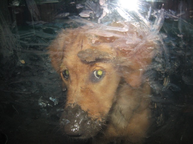 muddy-ruby.jpg